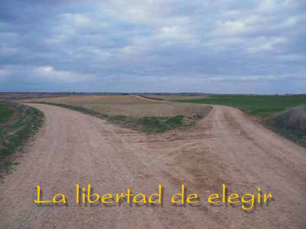 LA LIBERTAD DE ELEGIR